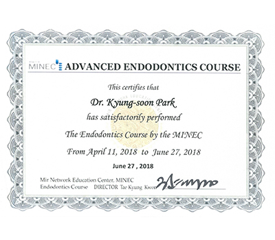 Minec endodontis course